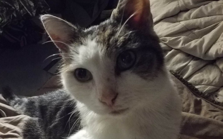 Zbiórka Ile kosztuje życie Mietka - zdjęcie główne