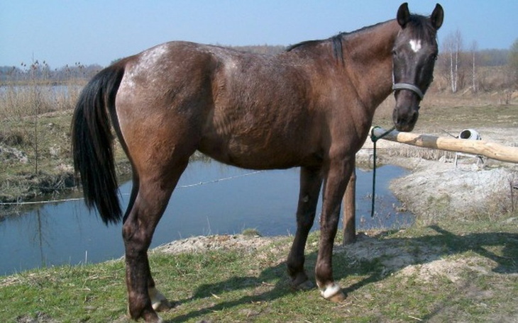 Zbiórka Itaka - moja miłość - zdjęcie główne