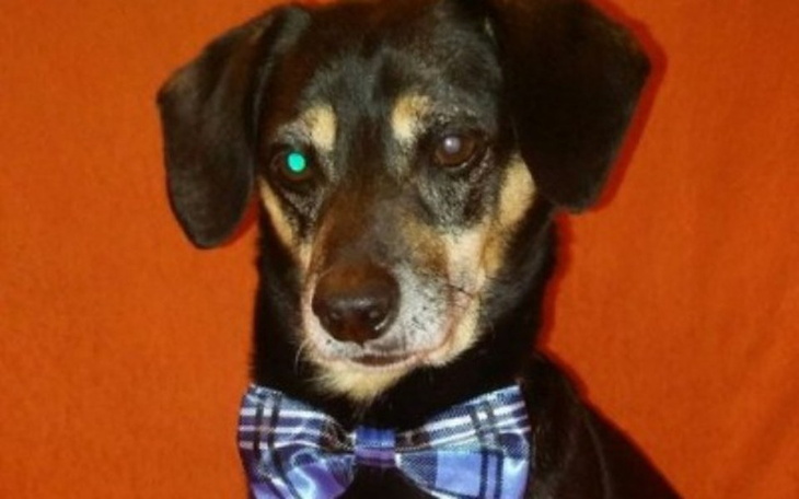 Zbiórka Pomoc dla Kubusia - zdjęcie główne