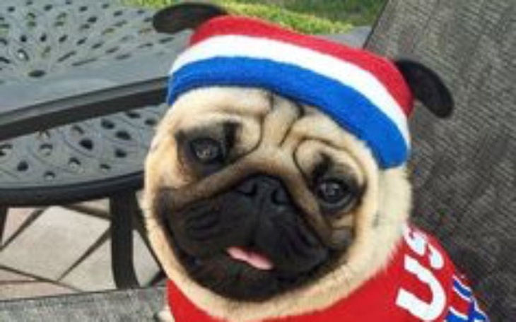 Zbiórka Imwestycja w Cloud token - zdjęcie główne