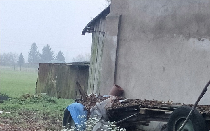 Zbiórka Szukam pomocy na jedzenie - zdjęcie główne