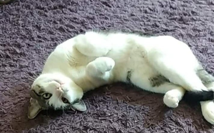 Zbiórka Prawo jazdy.. KatB - zdjęcie główne