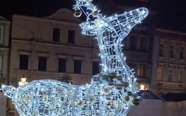 Zbiórka Czynsz i wyżywienie - zdjęcie główne