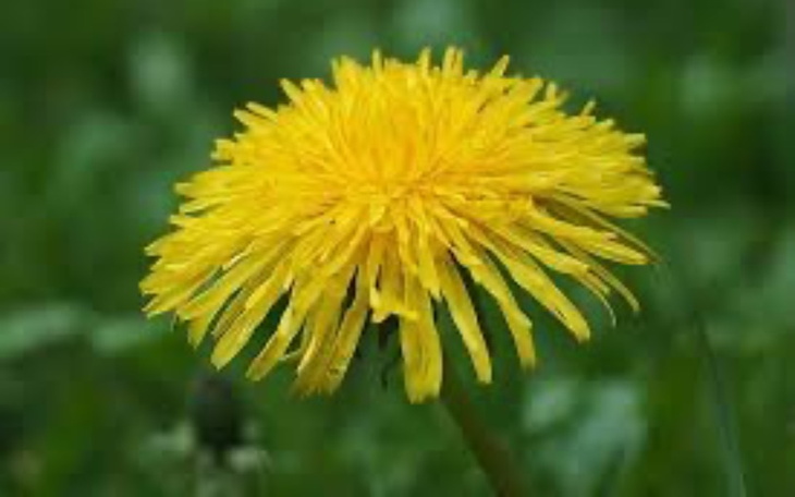 Zbiórka Studia-nowy start - zdjęcie główne