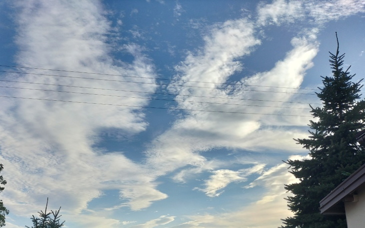 Zbiórka Długi ,spłata zadłużenia - zdjęcie główne