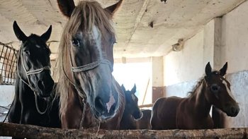 Zbiórka Na leczenie dwóch chorych mam - miniaturka zdjęcia