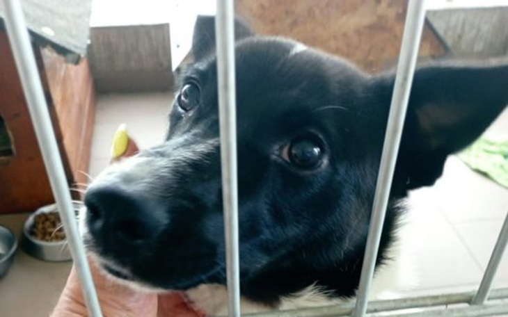 Zbiórka Nie chcę wracać za kraty - zdjęcie główne