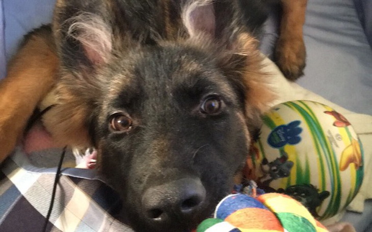 Zbiórka Brita - zdjęcie główne