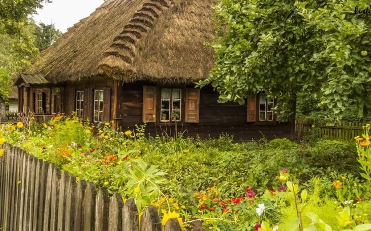 Zbiórka Zbieram na prezent dla mamy2 - zdjęcie główne