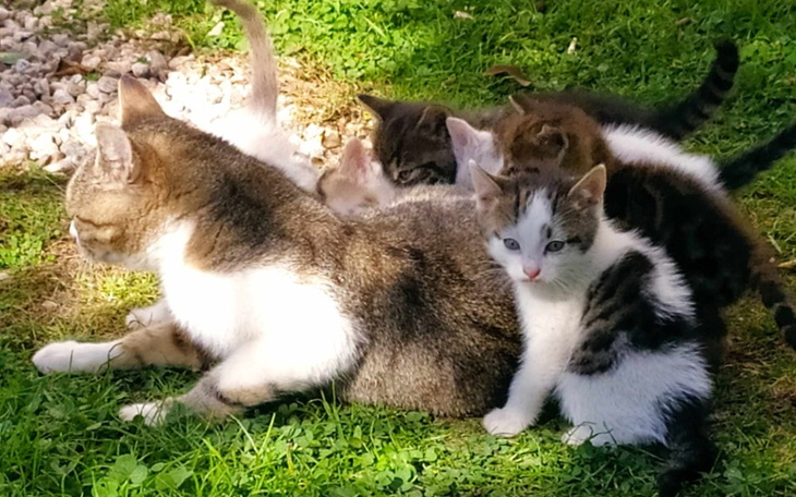 Zbiórka Wyrzut sumienia. - zdjęcie główne