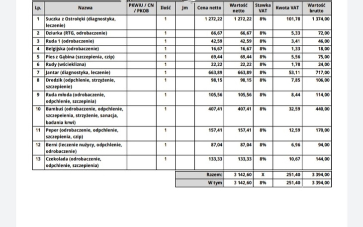 Zbiórka Ogromna faktura za weta, pomocy - zdjęcie główne