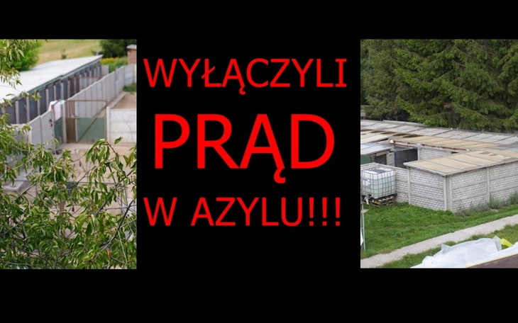 Zamknięcie prądu w azylu dla zwierząt.