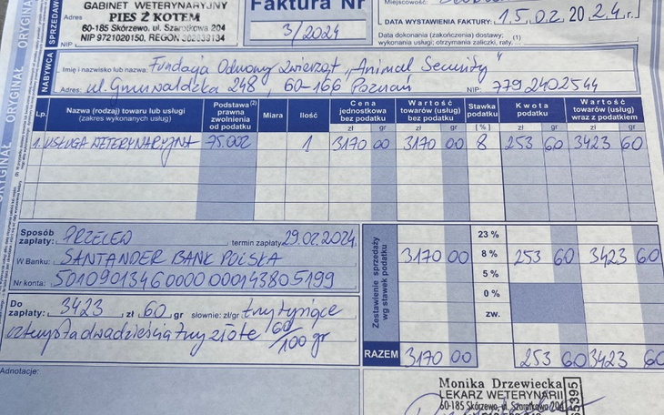 Zbiórka Pomóż leczyć nasze koty - zdjęcie główne