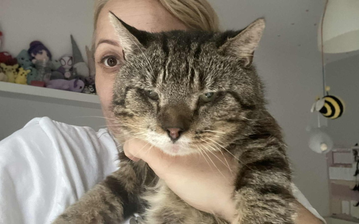 Osoba trzymająca kota, oboje wyglądają na zrelaksowanych.