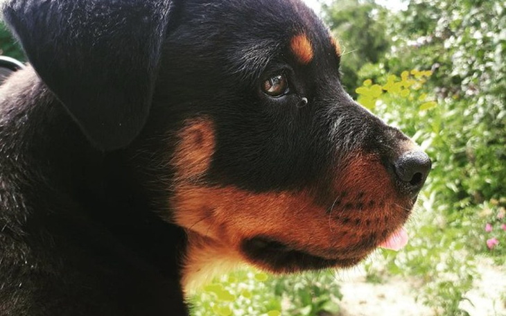 Zbiórka Najważniejsze miejsce " Dom" - zdjęcie główne