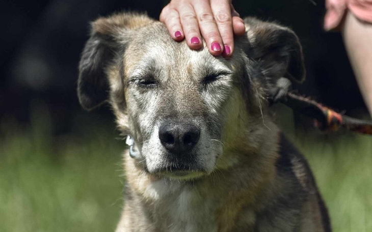 Zbiórka Transport Tajgi i Blumki - zdjęcie główne