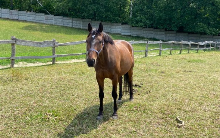 Zbiórka Walka o ŻYCIE Olinero - zdjęcie główne
