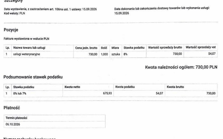 Koci tłusty balonik karmiony przez tłusty kot w kuchni.