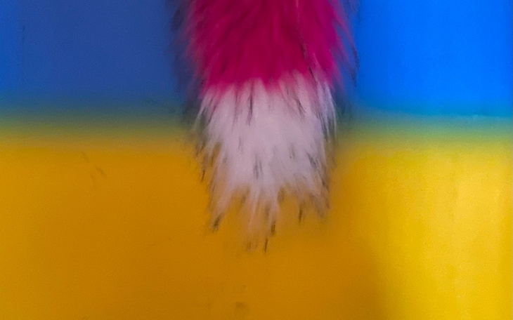 Zbiórka Kita pomaga Ukrainie - zdjęcie główne