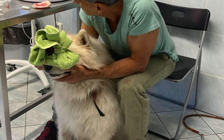 Mężczyzna trzyma psa, zakrywając mu głowę ręcznikiem.