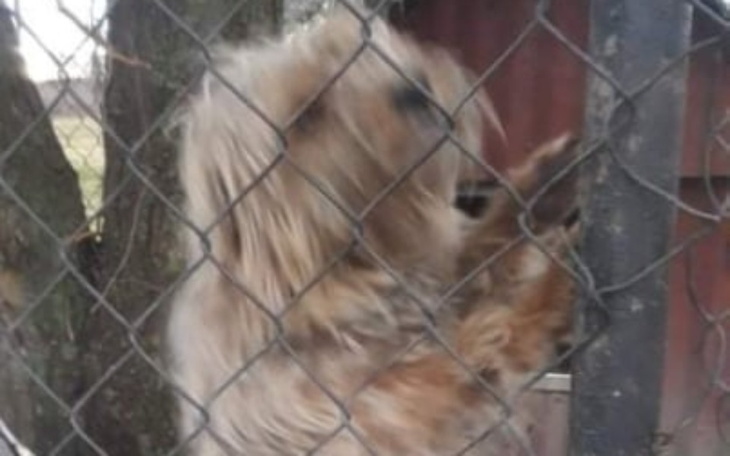 Zbiórka Gniją w kojcu i chyba tam umrą.. - zdjęcie główne