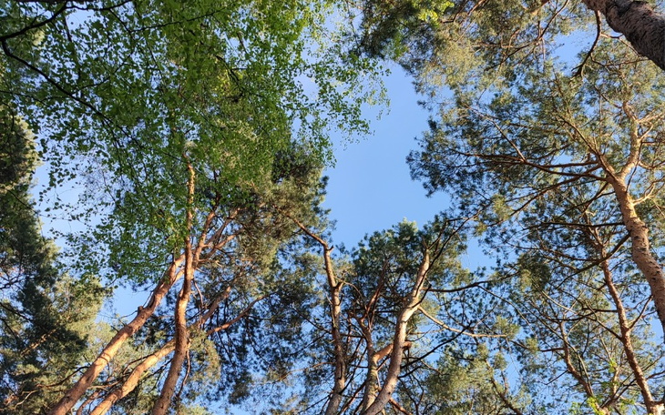 Zbiórka Wstyd prosić - zdjęcie główne