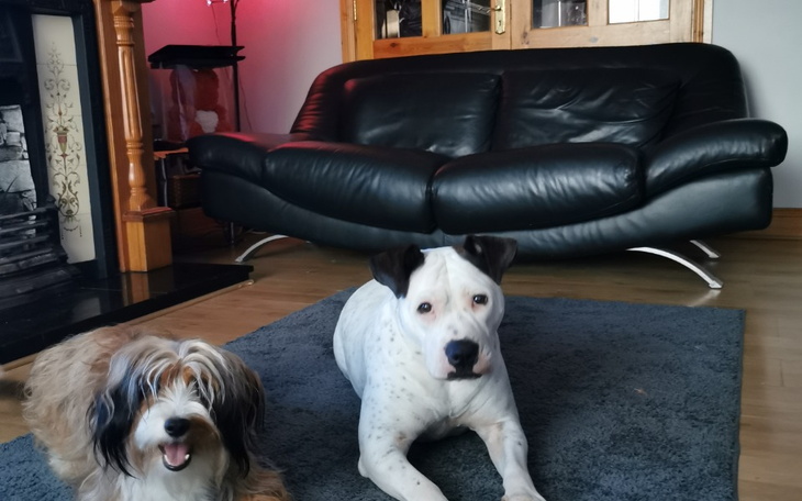 Zbiórka Dla Kesi, na operacje oczu - zdjęcie główne