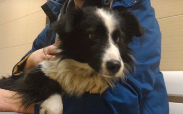 Zbiórka Operacja Kropka - zdjęcie główne