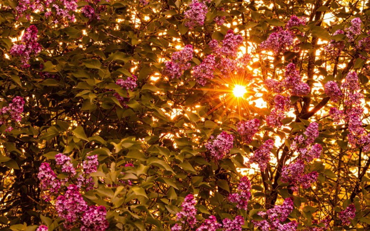 Zbiórka Darmowe warsztaty fotograficzne - zdjęcie główne