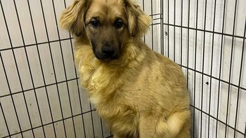 Zbiórka Droga do domu🚗 - miniaturka zdjęcia