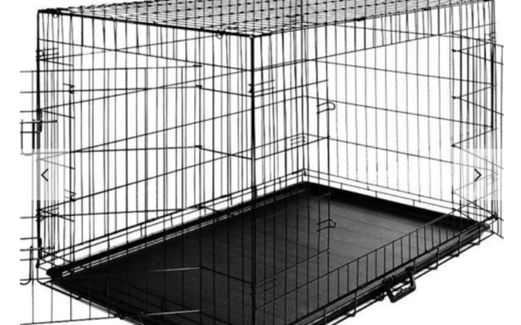 Zbiórka Na zakup klatki kennelowej - zdjęcie główne