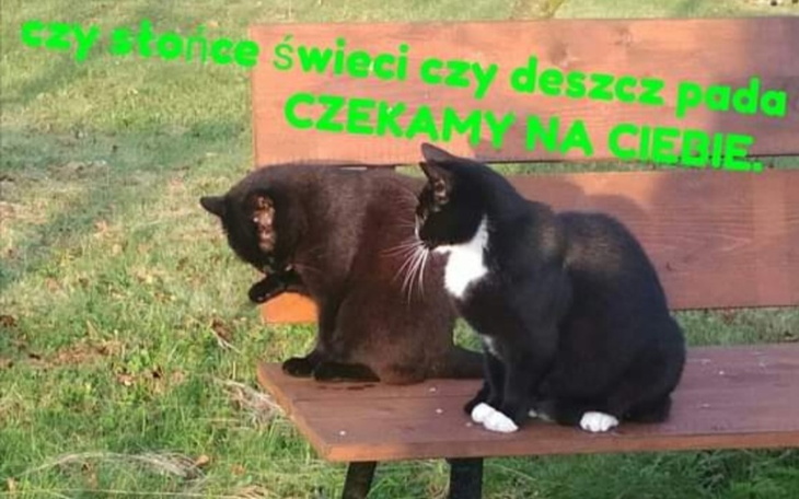 Zbiórka Bazarek 2022 - zdjęcie główne