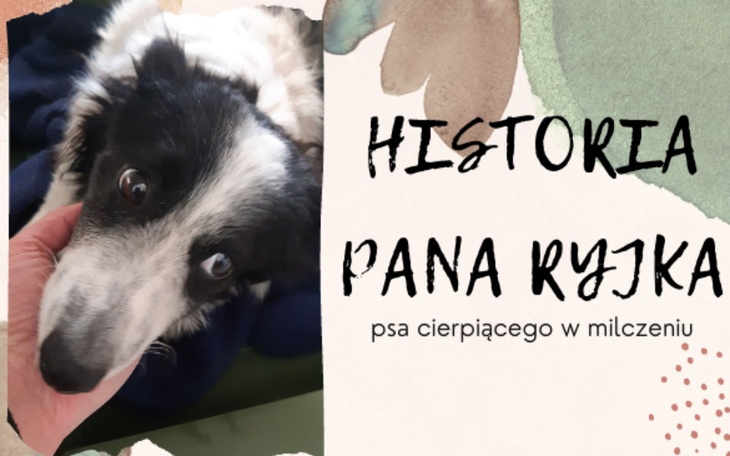 Zbiórka Historia Pana Ryjka - zdjęcie główne