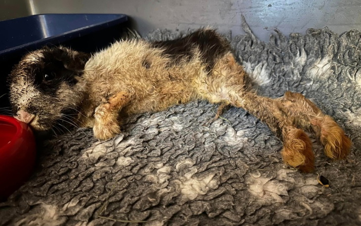 Zbiórka Jedna faktura - zdjęcie główne