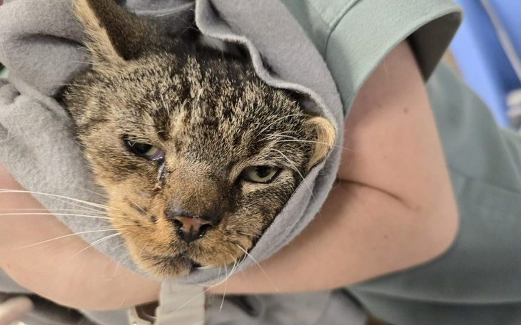 Zbiórka Ulica zabrała mu wszystko ... - zdjęcie główne