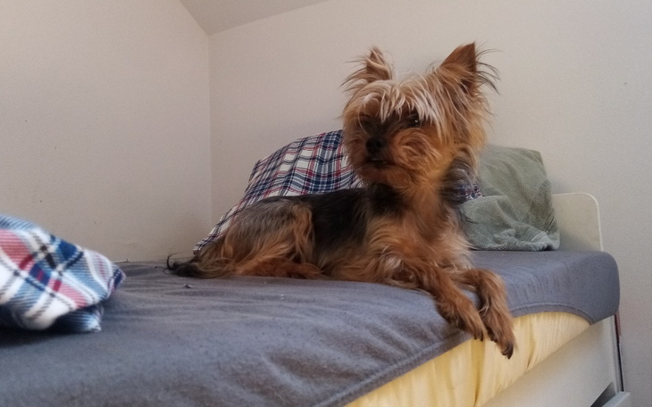 Zbiórka Na źycie - zdjęcie główne