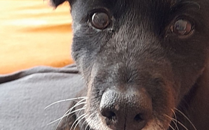 Zbiórka Zbiórka na pomoc w leczeniu ska - zdjęcie główne