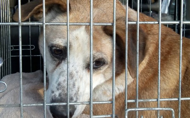 Zbiórka BRYZA - chory kręgosłup i stawy - zdjęcie główne