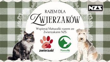 Zbiórka Zwierzaki NZS x MATUZALKI - miniaturka zdjęcia