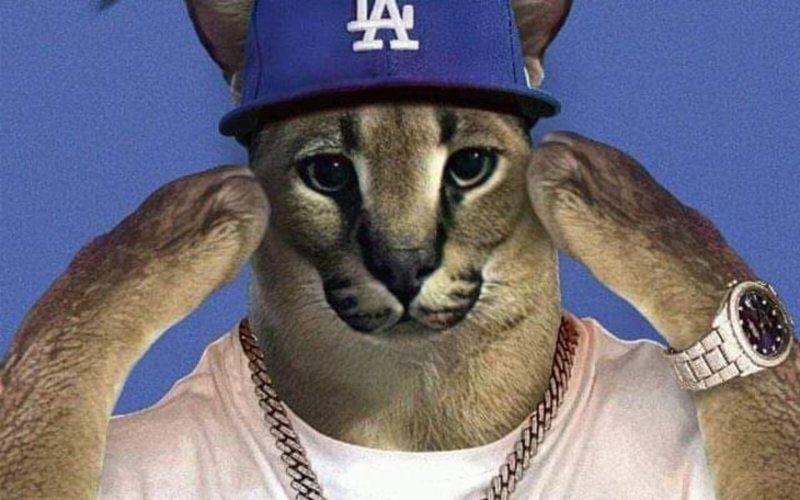 Zbiórka buty andhsjejsj - zdjęcie główne