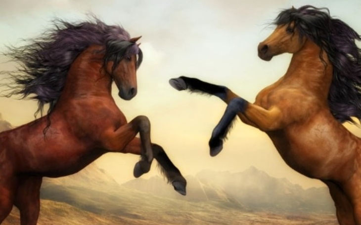 Zbiórka Na kupno marzenia - zdjęcie główne