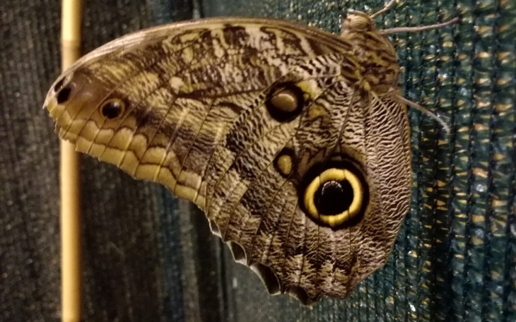 Zbiórka Pomocy Nie mam za co żyć - zdjęcie główne