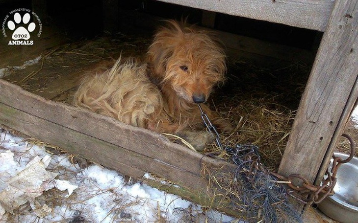 Zbiórka Nie pozwólmy im zamarznąć! - zdjęcie główne