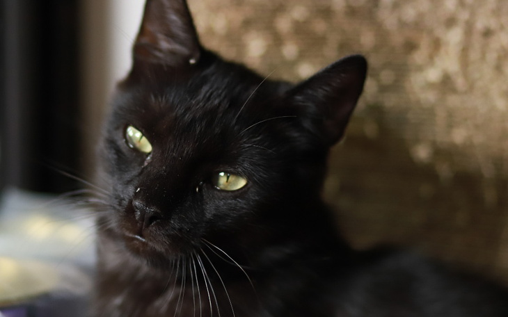 Zbiórka BARBER ... moje wszystko - zdjęcie główne