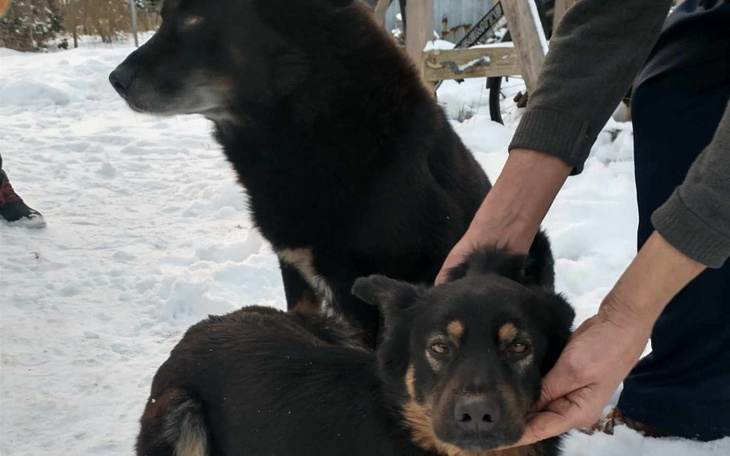 Zbiórka Na nowe życie Sary i Roya - zdjęcie główne
