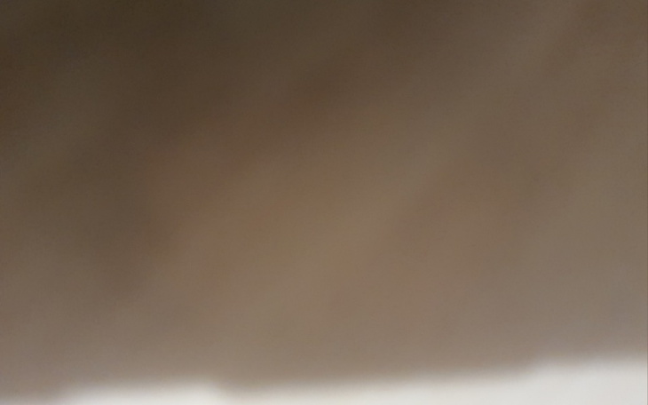 Zbiórka Pomoc zwierzętom , dołóż cegiełk - zdjęcie główne