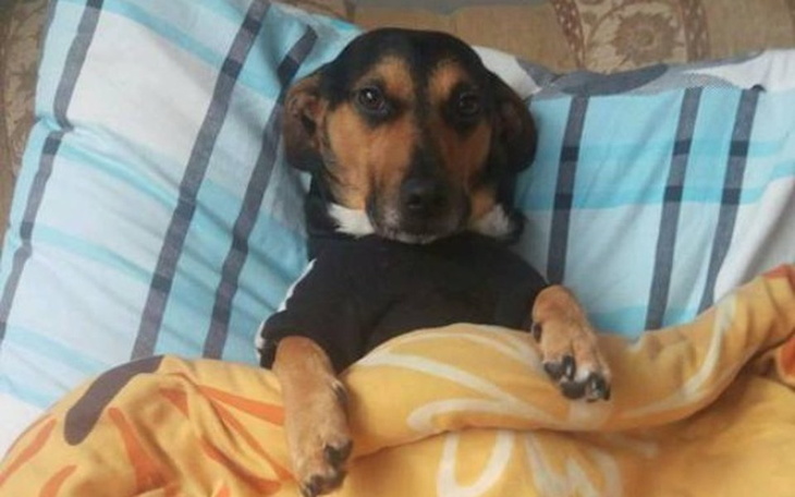 Zbiórka Pomoc dla świetnego ziomka - zdjęcie główne