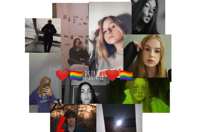 Zbiórka psinki zbierajna ulepszenie bota - zdjęcie główne