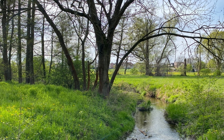 Zbiórka aparat fotograficzny - zdjęcie główne