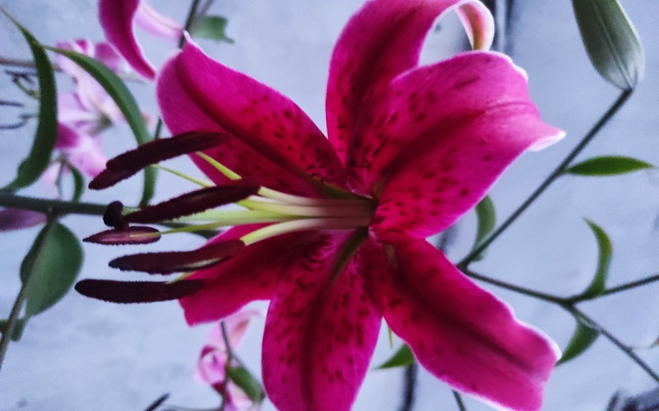 Zbiórka Wczasy z rodziną - zdjęcie główne